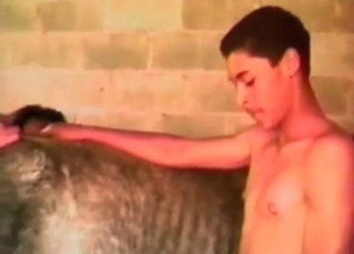 This stallion is fond of ass fucking
