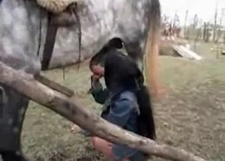 Sexy animal is playing with the lady