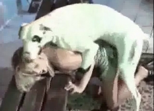 Sweet lady is fucking with an animal
